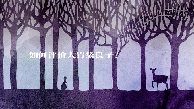 如何评价大胃袋良子？