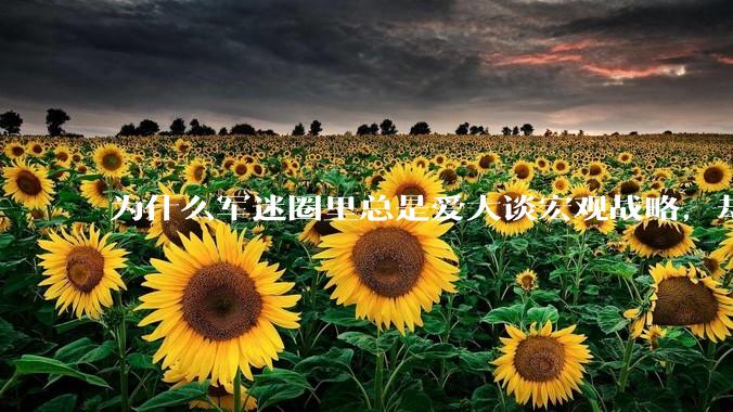 为什么军迷圈里总是爱大谈宏观战略，却很少谈战役战术？